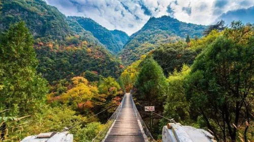 因地制宜，特色引領 不同類型旅游區的項目策劃與開發咨詢指南