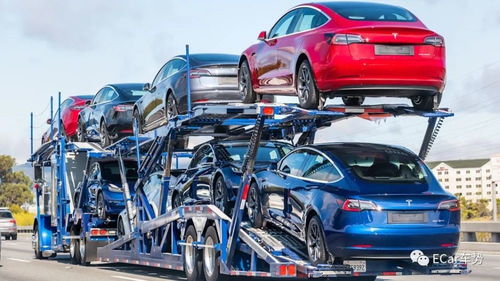 全球電動汽車銷量排行榜,比亞迪超過特斯拉
