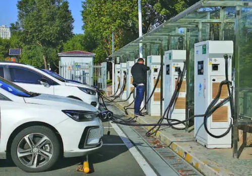 購車注意了 新能源汽車補貼退坡30 ,明年將終止補貼